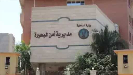 أخبار مصر