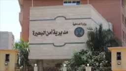 أخبار مصر