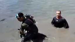 أخبار مصر