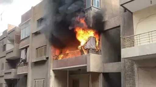 أخبار مصر