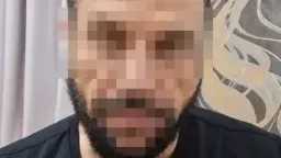 أخبار مصر