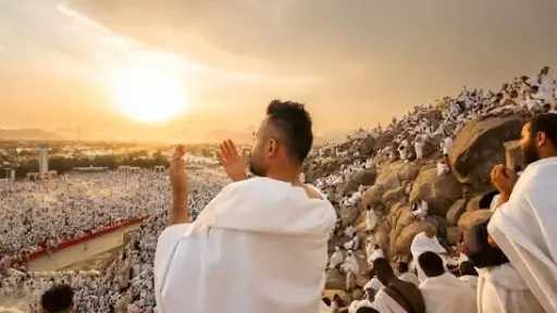 أخبار مصر