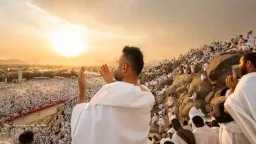 أخبار مصر