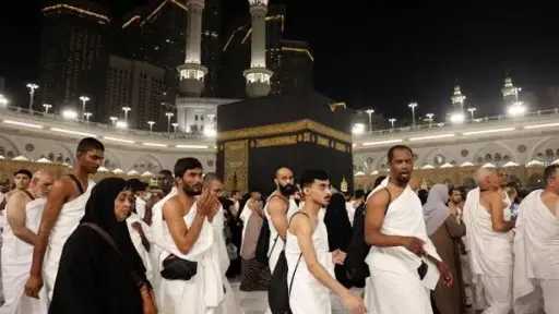 أخبار مصر