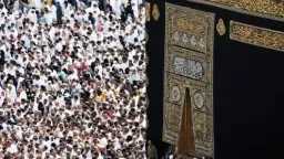 أخبار مصر
