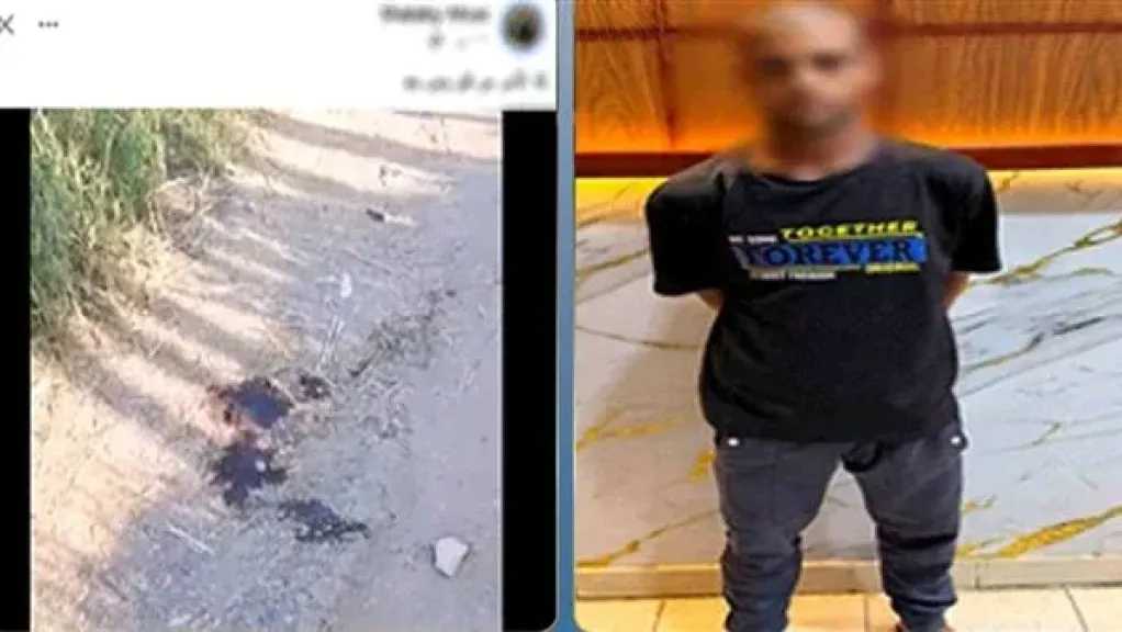 أخبار مصر
