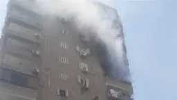 أخبار مصر