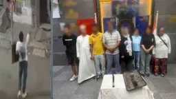 أخبار مصر