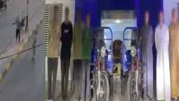 أخبار مصر