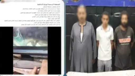 عربي ودولي