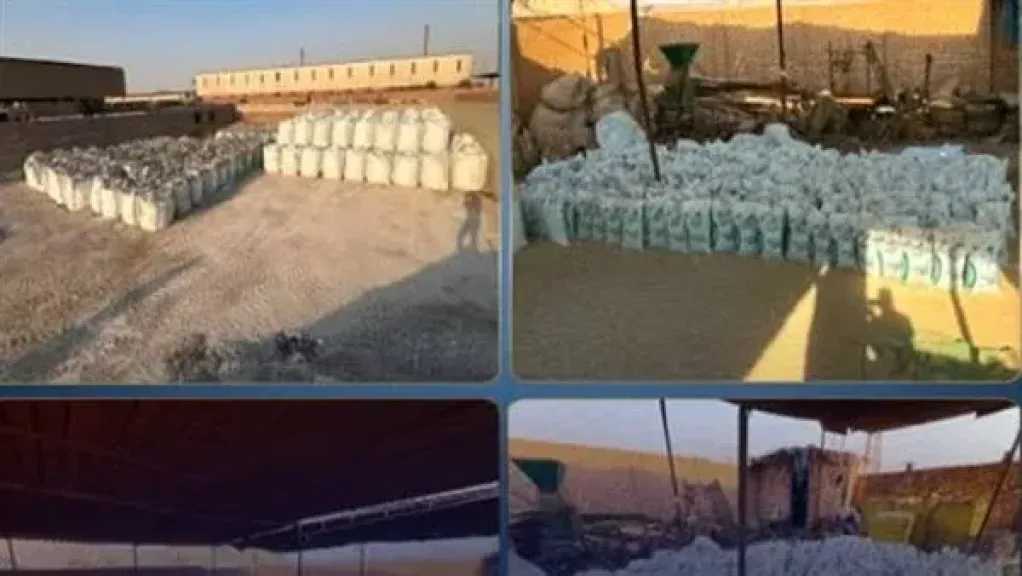 أخبار مصر