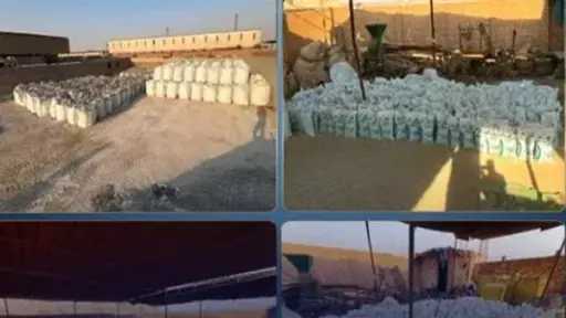 أخبار مصر