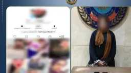 أخبار مصر