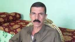 أخبار مصر