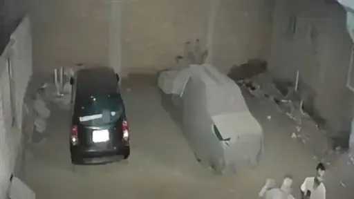 أخبار مصر