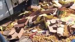 أخبار مصر