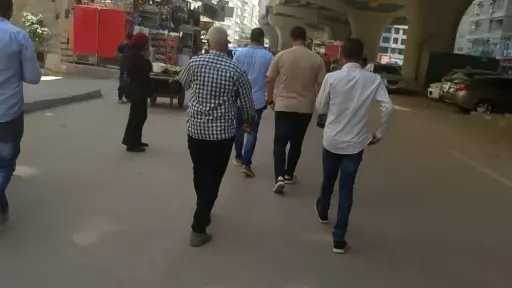 أخبار مصر