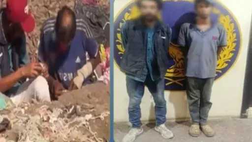 أخبار مصر