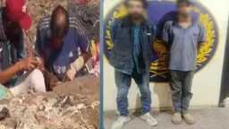 أخبار مصر