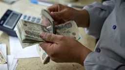 أخبار مصر
