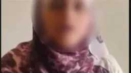 أخبار مصر