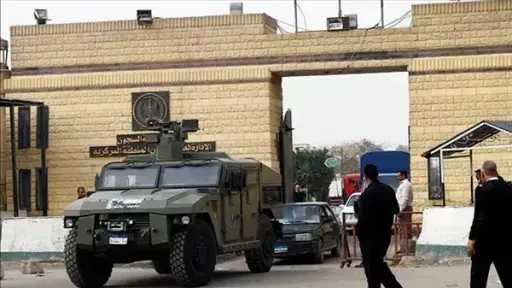 أخبار مصر