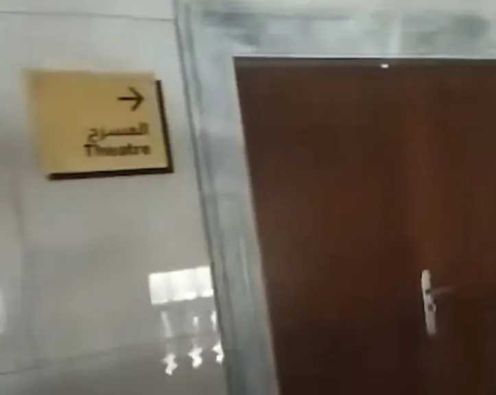 أخبار مصر