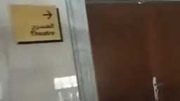 أخبار مصر