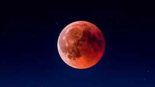 منوعات