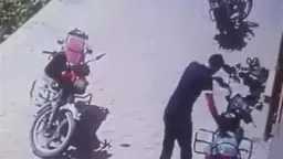 أخبار مصر
