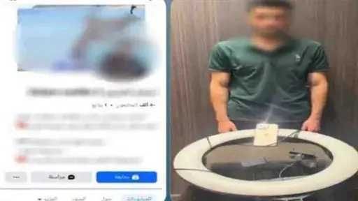 أخبار مصر