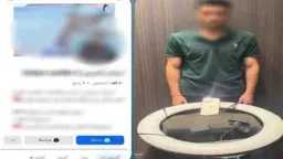 أخبار مصر
