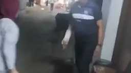 أخبار مصر