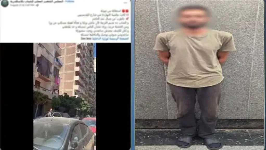 أخبار مصر