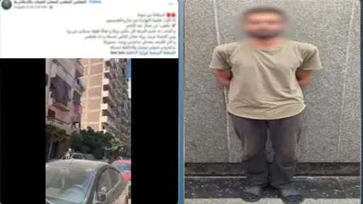 أخبار مصر