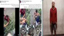 أخبار مصر