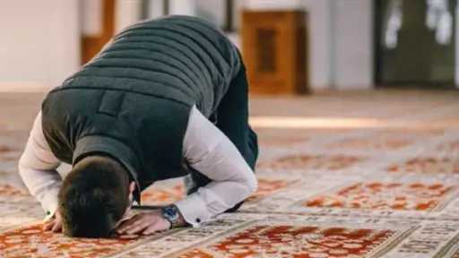 أخبار مصر