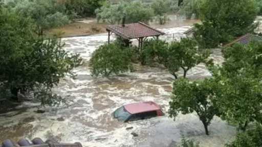 عربي ودولي