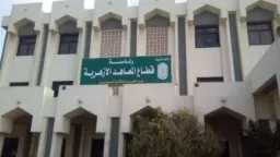 أخبار مصر