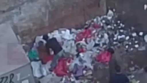 أخبار مصر