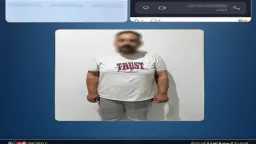 أخبار مصر