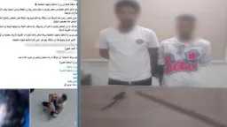 أخبار مصر