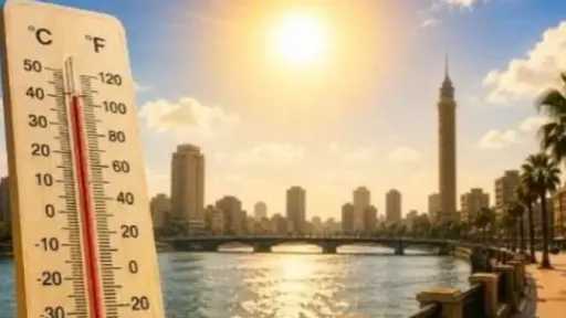 أخبار مصر