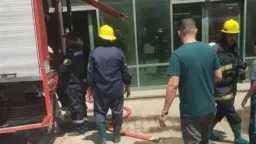 أخبار مصر