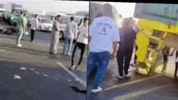 أخبار مصر