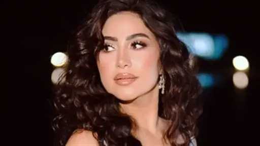فن