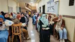 أخبار مصر