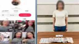 أخبار مصر