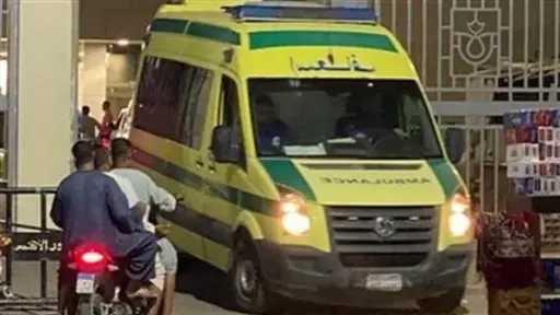 أخبار مصر