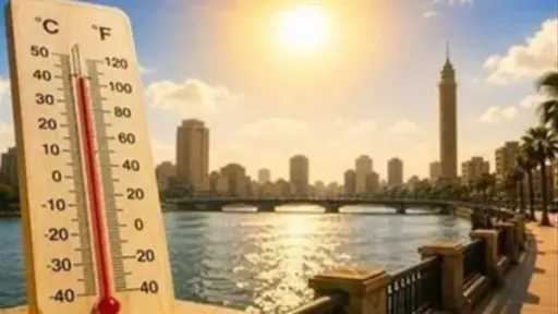 أخبار مصر